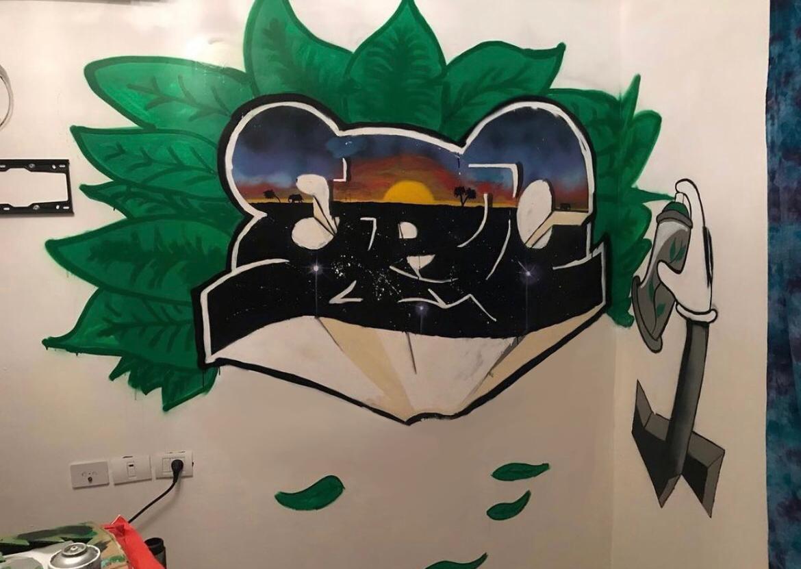 פרויקטים מגוונים